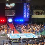 新日本プロレス2019 <br>G1クライマックス29日程を見て感じた事